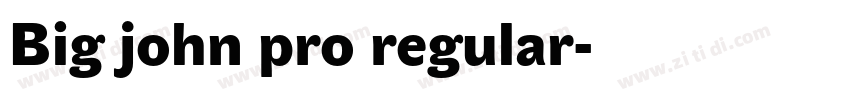 Big john pro regular字体转换